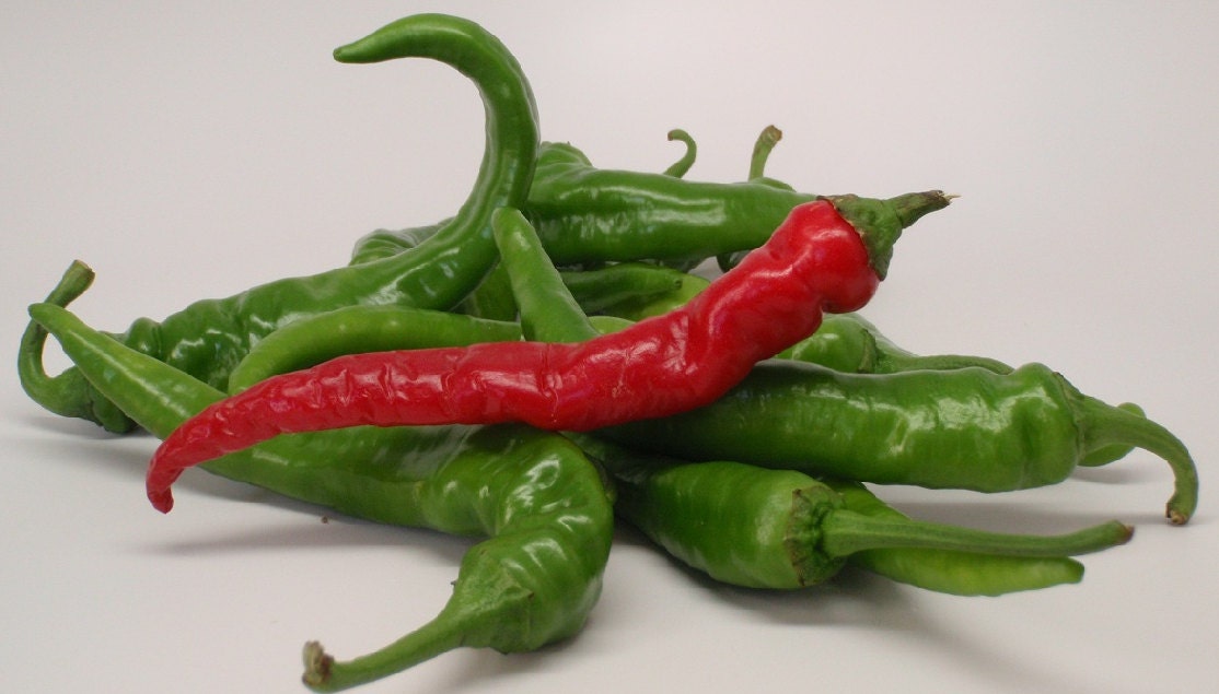 Dragons Claw Cayenne Chile Hot Pepper Premium Seed Packet