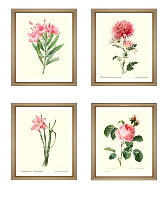 Pink flowers print Set. Botanical Print Set. ANY 4 pink flower