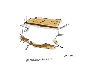 Marshmallow Cat - Smore Cat Print- Funny Cat Art