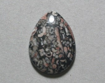 CRINOID FOSSIL agate drop cabochon 22X30mm pear designer cab