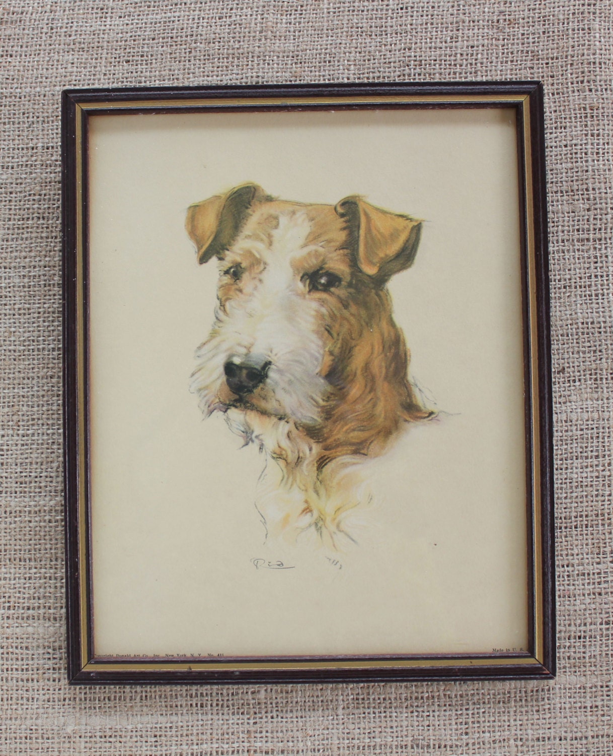 Vintage Framed Terrier Litho Donald Art Co. Dog Print Wire