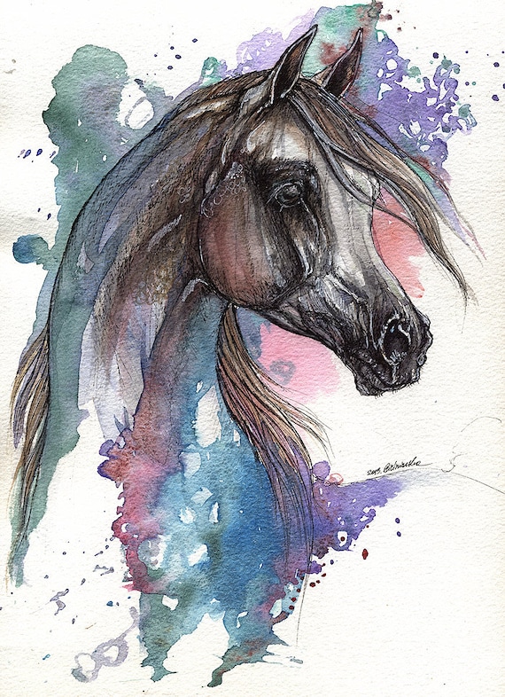 grey arabian horse original ink and watercolor painting grey arabian horse original ink and watercolor painting