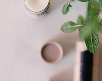 PEPPERMINT | Menthol | Lip Balm | Organic