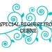 Special Request from Debbie (2 plastic canvas pattern)