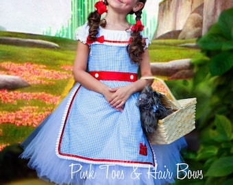 Dorothy Tutu dress- Wizard of oz tutu dress- Dorothy dress-Dorothy costume