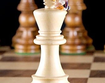 Chess King - Chess Board and Frog Photo, Playing Chess
