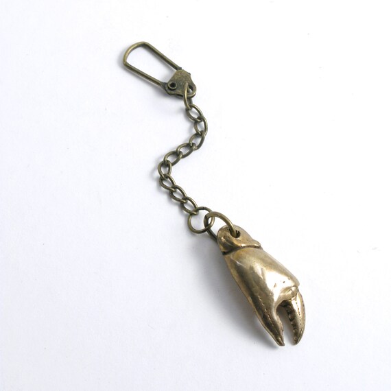 Lost Wax Cast Shiny Brass or Antiqued Bronze Crab Claw on an