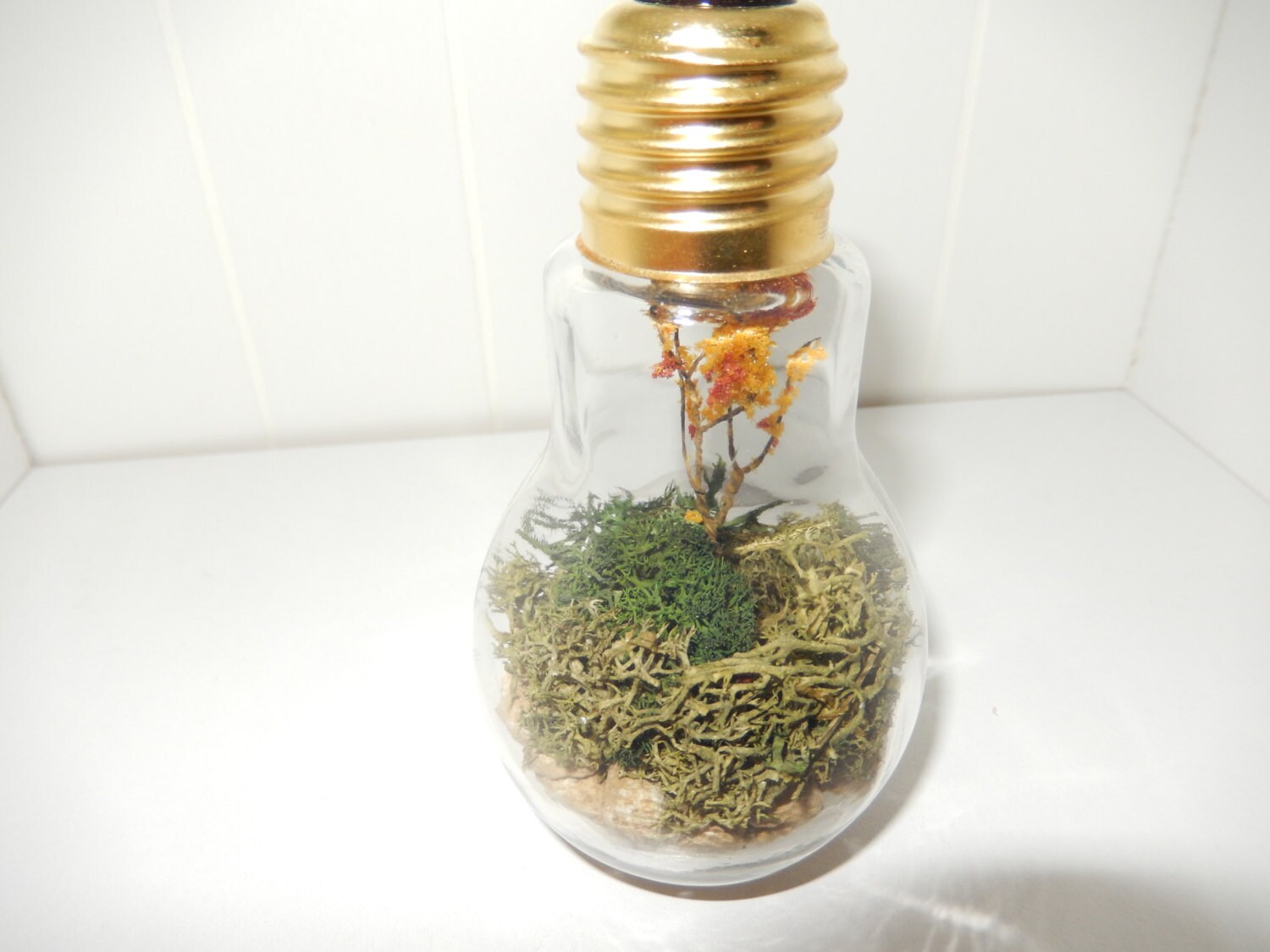 Light Bulb Terrarium by UniqueTerrarium on Etsy