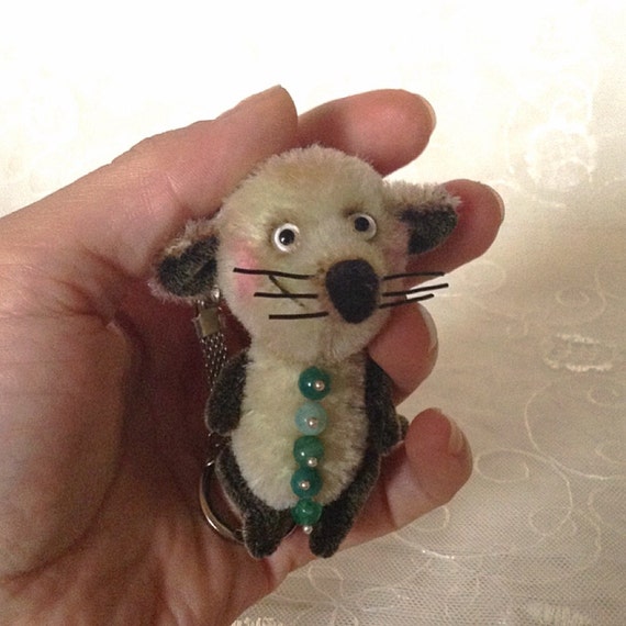 teddy rat