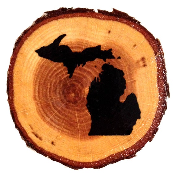 Set of 2 Michigan Screen printed on oak discs. Free