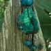 greenchalcedony