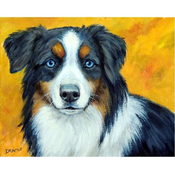 Australian Shepherd Art Print of Original Painting Tricolor