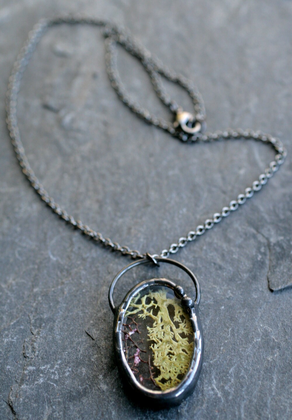 terrarium necklace real moss necklace modern glass by museglass