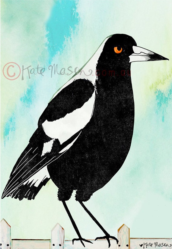 Magpie ART PRINT Australian Birds