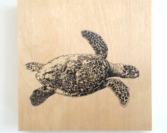 Turtle Wall Decor turtle nursery decor | etsy Turtle Wall Decor turtle nursery decor | etsy
