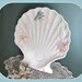 Shell Dish, Shell Tray, Ceramic Tray Trinket Dish Soap Dish Decorative Dish White Tray White Ceramic Dish Bathroom Décor Beach Cottage Décor