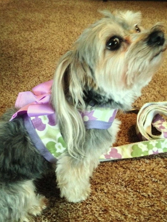 Lavender and Mint Small Dog Harness by CustomDogJacket on Etsy