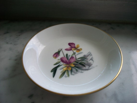 Vintage Royal Worcester Made in England Fine Bone China