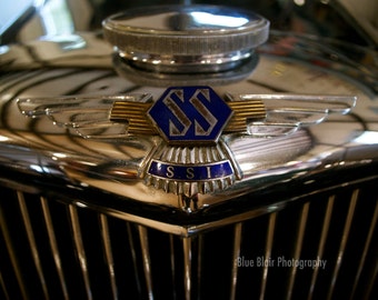 Ford hood ornament with blue silver and black crest #2