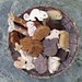 PICK ANY THREE Wooden Toy Animals - Wood Toys - all natural teethers and Waldorf toddler toys
