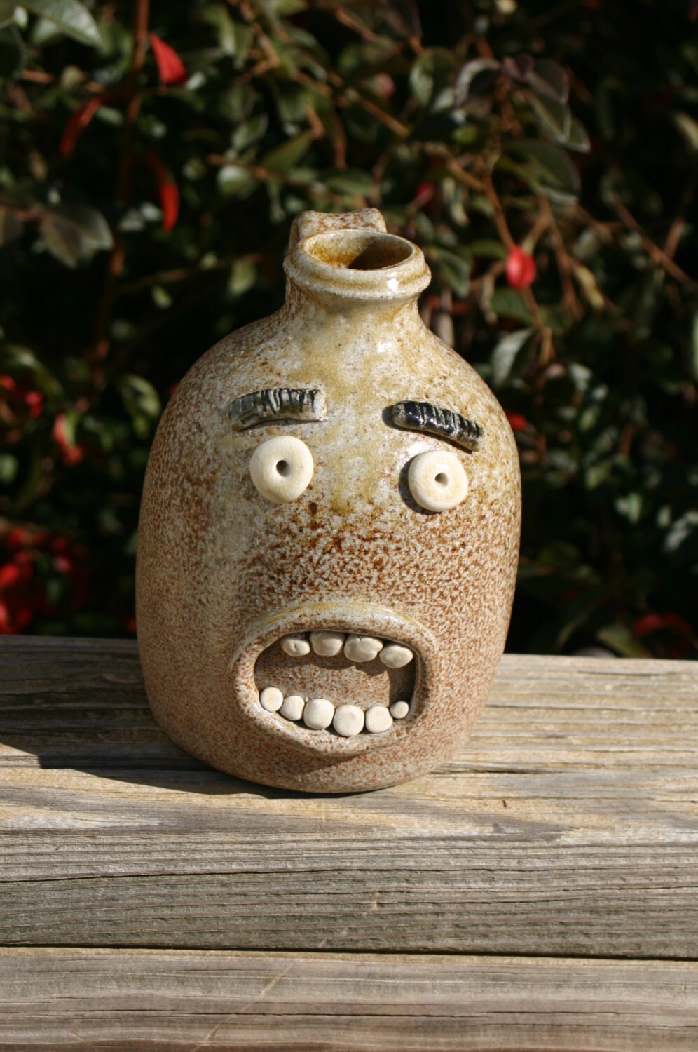 Salt Glazed Pottery Face Jug or Ugly Jug NC by Beaverspottery