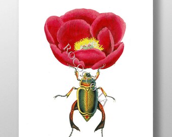 Red Peony and beautiful Beatle Mixed media Decorative art painting drawing illustration portrait Wall decor,Fine Art Prints, POSTER 8x10