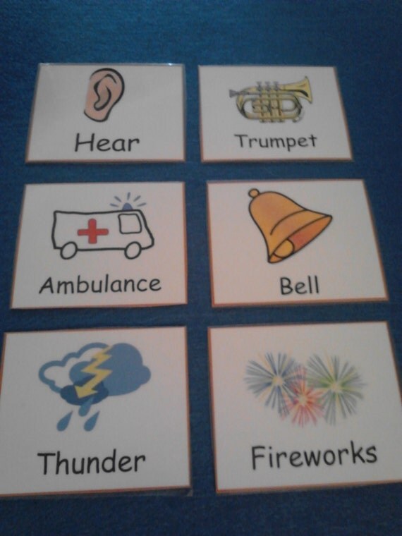 Five Senses Sense of Hear See Smell Taste & Feel Flash