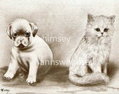 Dog and Cat Art, Late 1800s RESTORED Antique Print, CONFUSION .... "Is This Another Dog?" "Is This Another Cat" Affordable Art #24 Dog and Cat Art, Late 1800s RESTORED Antique Print, CONFUSION .... "Is This Another Dog?" "Is This Another Cat" Affordable Art #24
