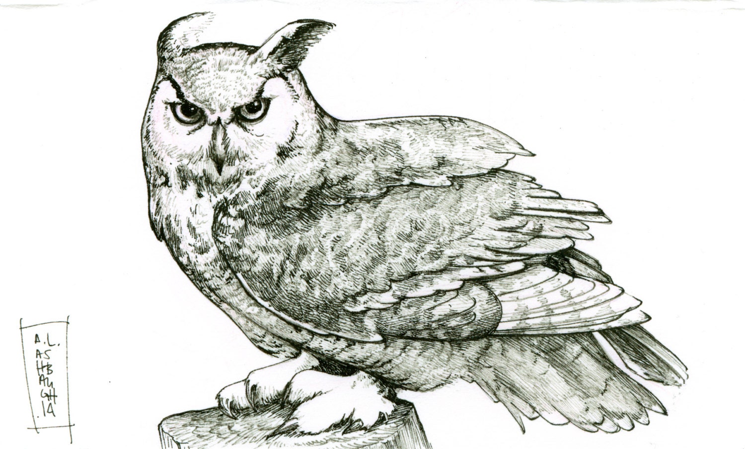 Great Horned Owl Ink Drawing by ALAshbaugh on Etsy