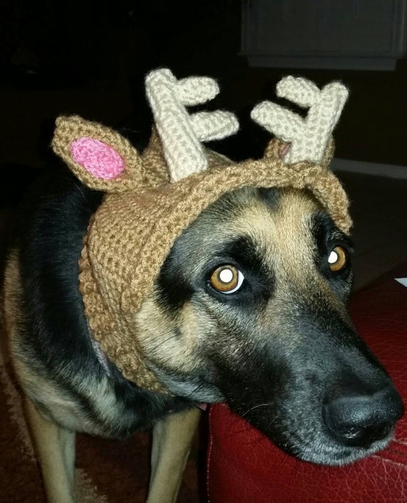 reindeer antlers hat pet reindeer antlers hat pet