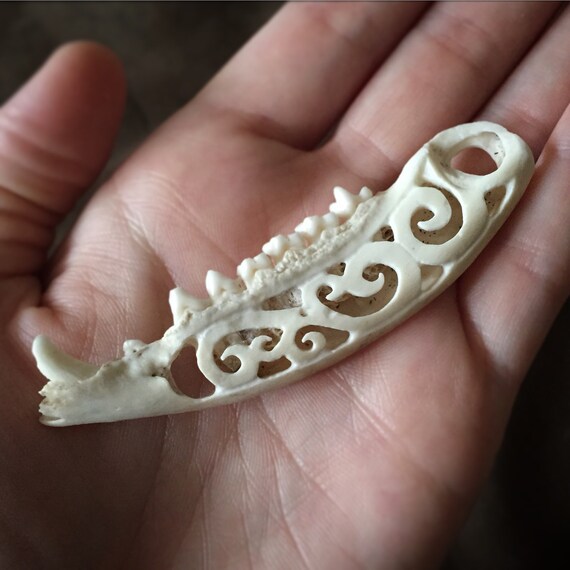 Carved opossum jaw bone by RevivedRemains on Etsy