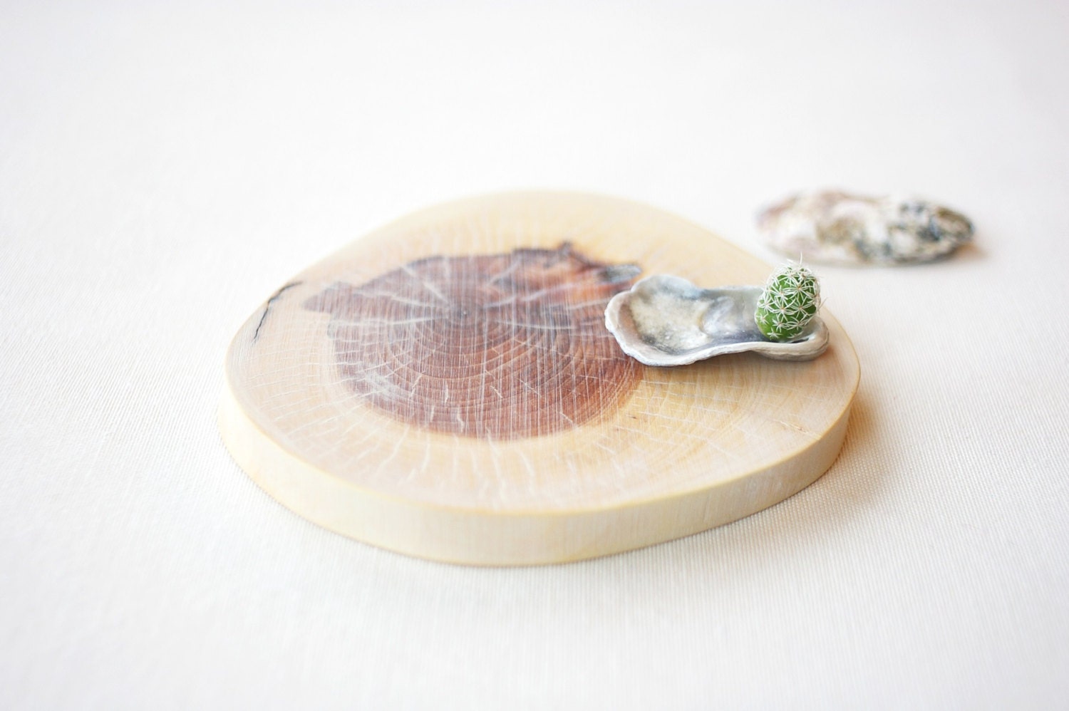 Drink coasters Natural Wood coaster Rustic wedding by Holeybox