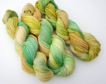 Hand Dyed Yarn, Hand Dyed Wool, Multicolor Dyed Yarn, Multicolor Dyed Wool, Yarn Hand Dyed, Medium Worsted Wool, Autumn Trends Yarn