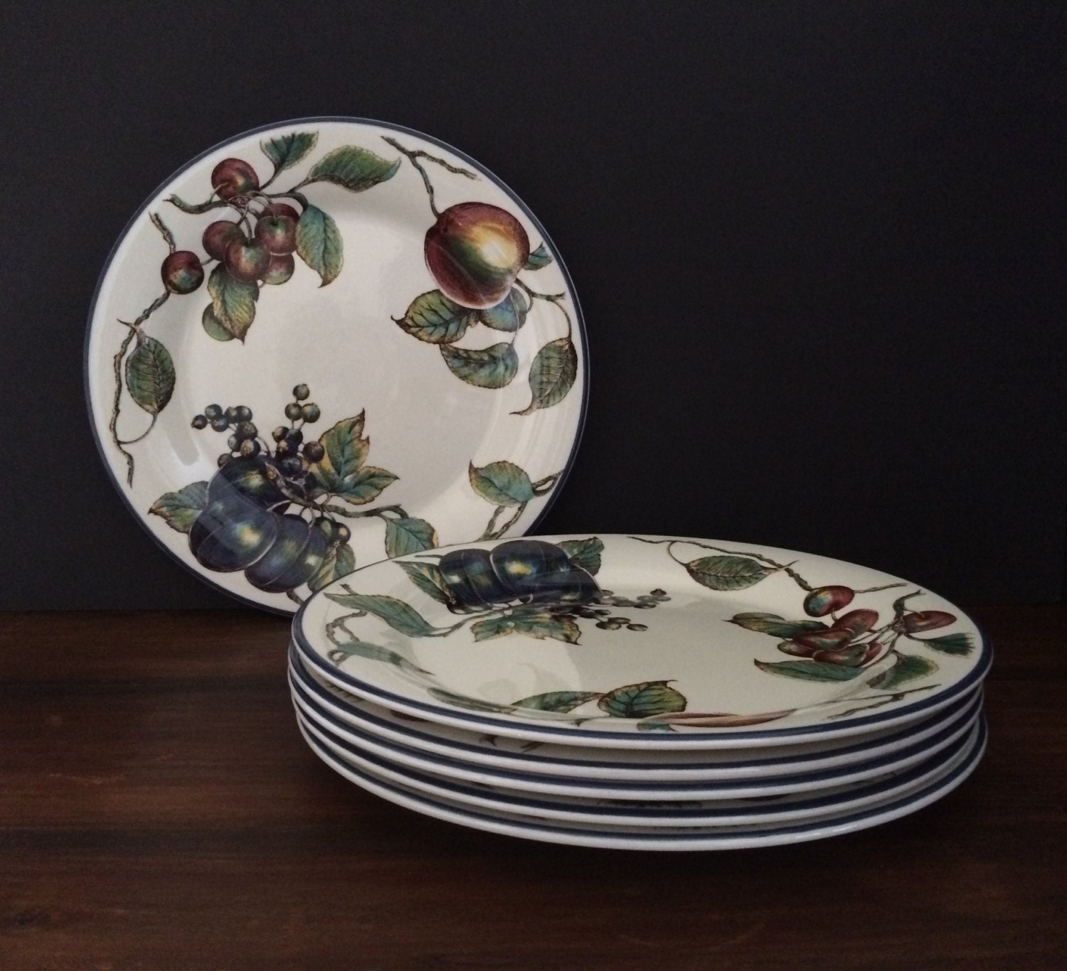 Set of 7 Pier 1 Macintosh Dinner Plates by BallyhooandBedbugs