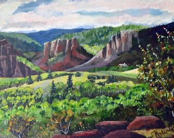 Original framed acrylic landscape painting fine art painting landscape painting Colorado mountains valley summer trees framed painting