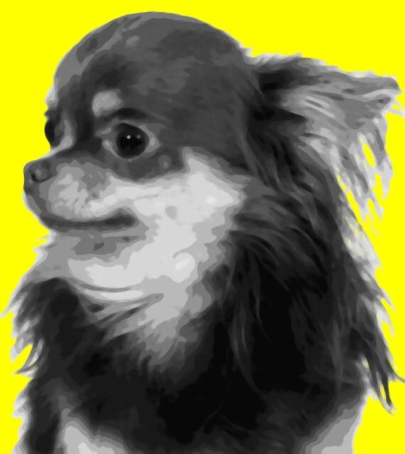 Chihuahua dog Paint By Number Art Kit