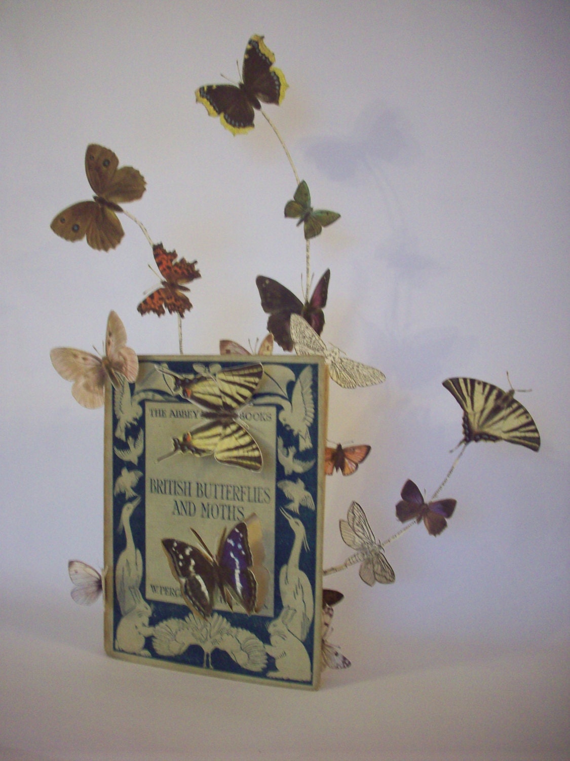 Butterfly Book Sculpture EXAMPLE of MADE to ORDER book art