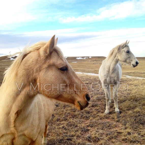 Items similar to Horse Print, instant download. Watermark removed with