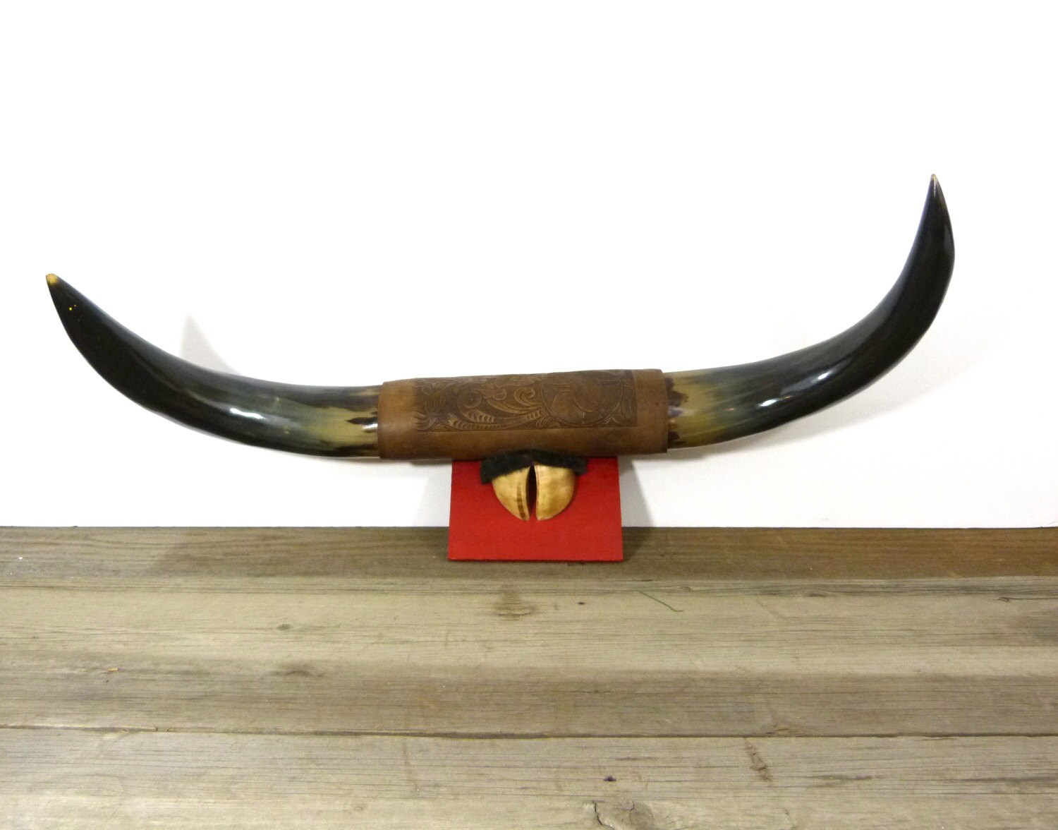 Vintage mounted steer horns