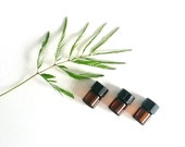 Aromatherapy Sampler Organic Essential Oil Blends