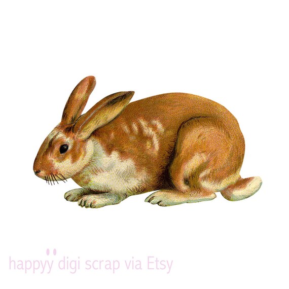 vintage rabbit clip art - photo #46