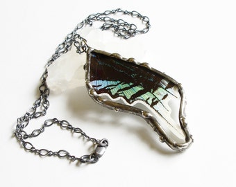 Real Moth Wing Necklace, Real Butterfly Jewelry, Urania Leilus Pendant
