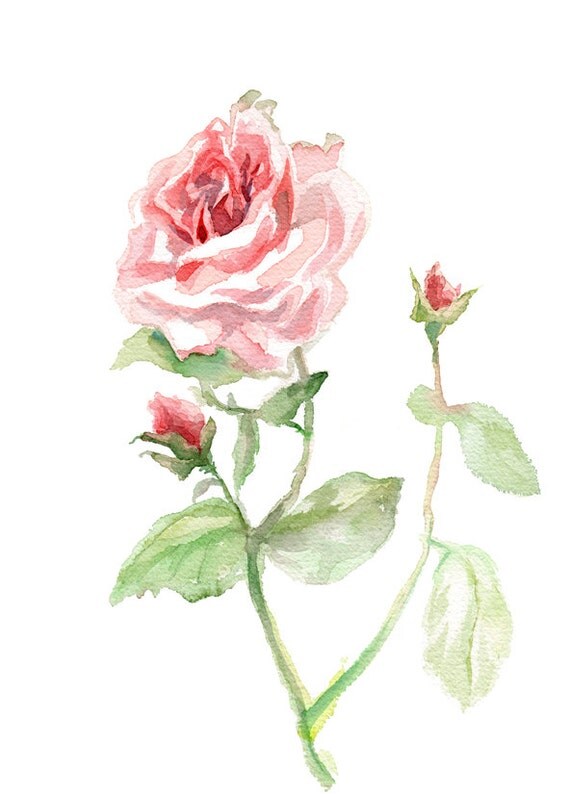 Pink Rose print GICLEE Print of original painting flower