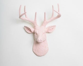 Cameo Pink Deer Head - The MINI Juno - Cameo Pink Resin Deer Head- Deer Antlers Mounted- Faux Head Wall Mount