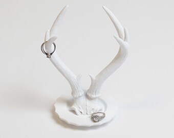 White Antler Ring Holder - White Faux Taxidermy Jewelry Dish - Faux Skull Cap - Resin Faux Taxidermy