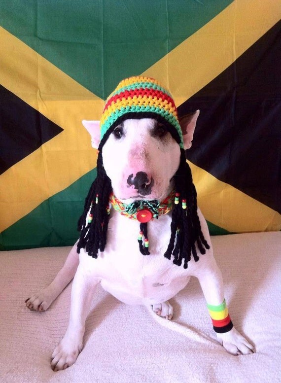 large custom made Rasta Jamaican dog hat with dred locks