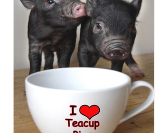Micro Pigs - I Love Teacup Pigs Mouse Mat Mouse Pad