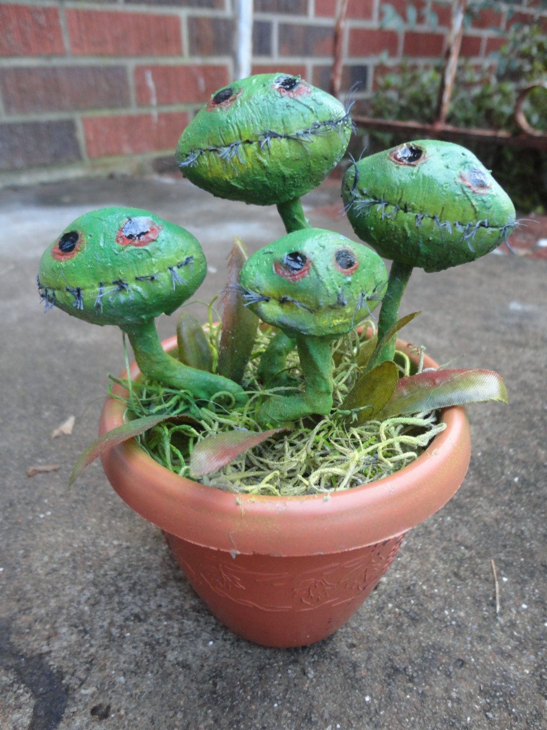 Venus Fly Trap Carnivorous Plant Static Prop Sprouts