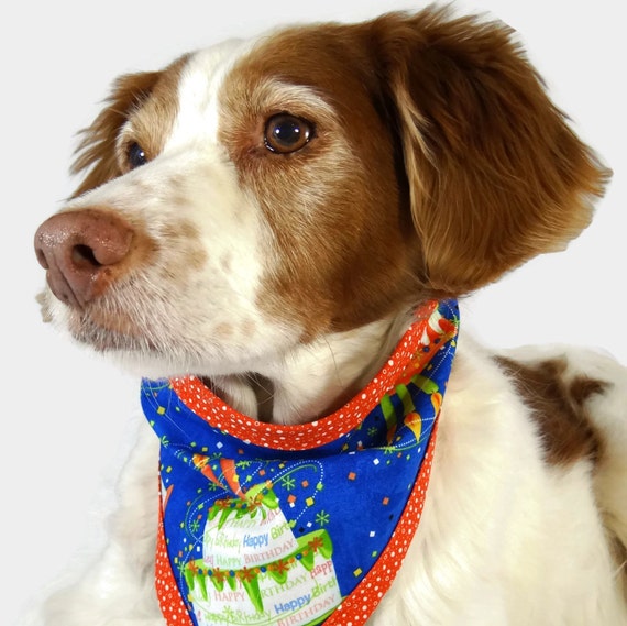 Dog Birthday Bandana Clip On Dog Bandana by blanketsinbloom