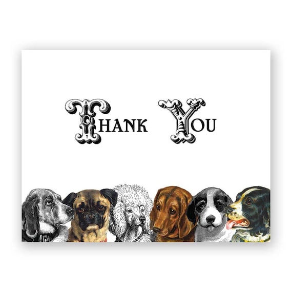 thank you dogs note card set of 12